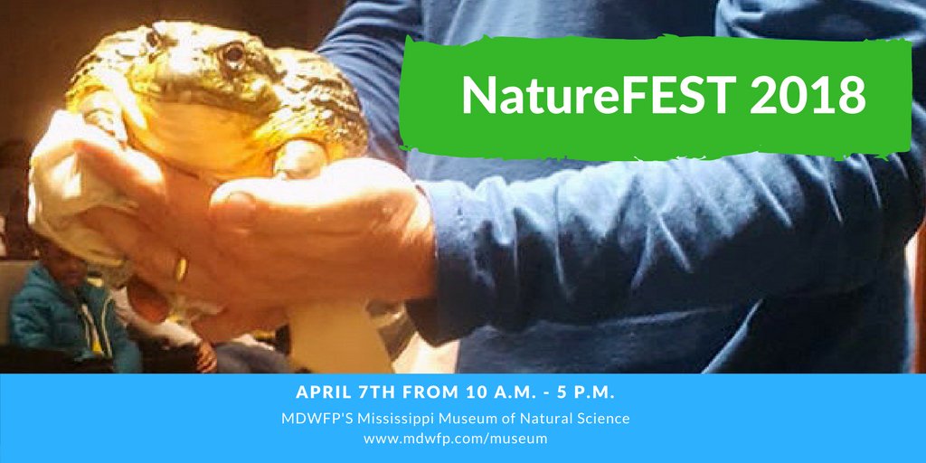 MSScienceMuseum's tweet photo. Wildlife Wonders is back with some new friends for you to meet at NatureFEST tomorrow, April 7th. Get the details - rain or shine: https://t.co/Y8jm4WJ4d6 #MSScienceMuseum #visitjackson #visitms #mjaams #mslist #myjxn #visitridgeland #longlivewonder #MYSCIMUSEUM #scienceed #STEM https://t.co/AbfKsv91Bv
