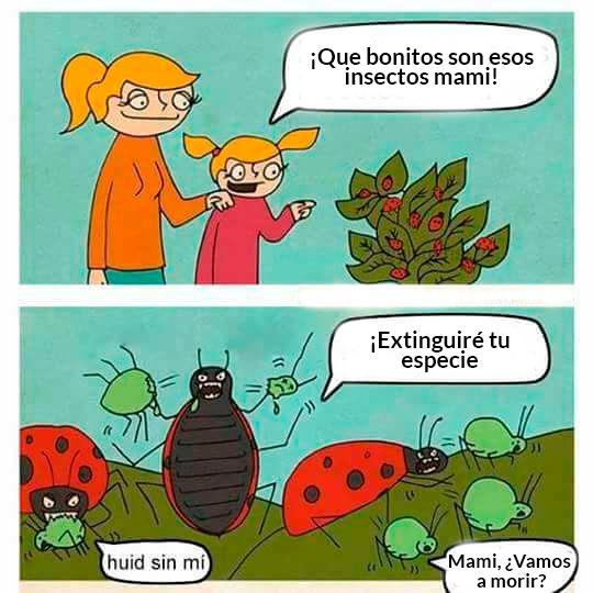 CosechandoNat's tweet photo. Un poco de humor 😄 https://t.co/rqoqXqZaQH