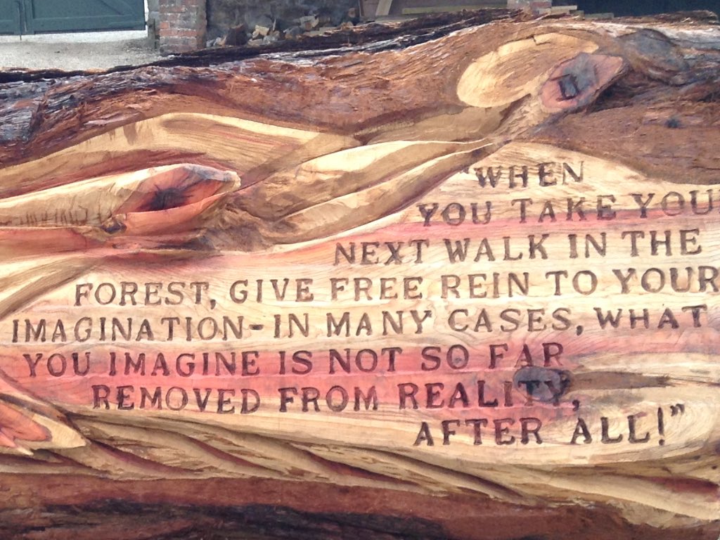 FawcettJudith's tweet photo. Tree trunk at #Erdigg Nr Wrexham a couple of weeks ago.#National Trust. ππ¨ https://t.co/jp2TPp2Cwu