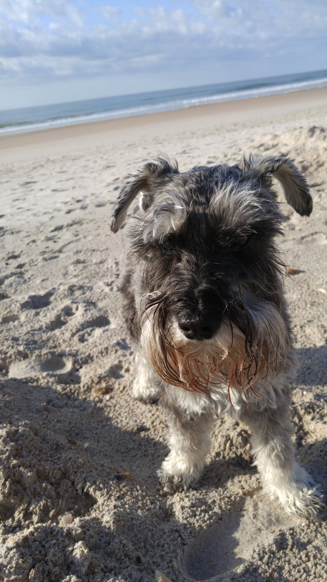 My master Mannie wants my wife and I to sharpen the saw one more week! Wonder if the school board could take a quick vote over the weekend? Anyway it's been a great Easter break!