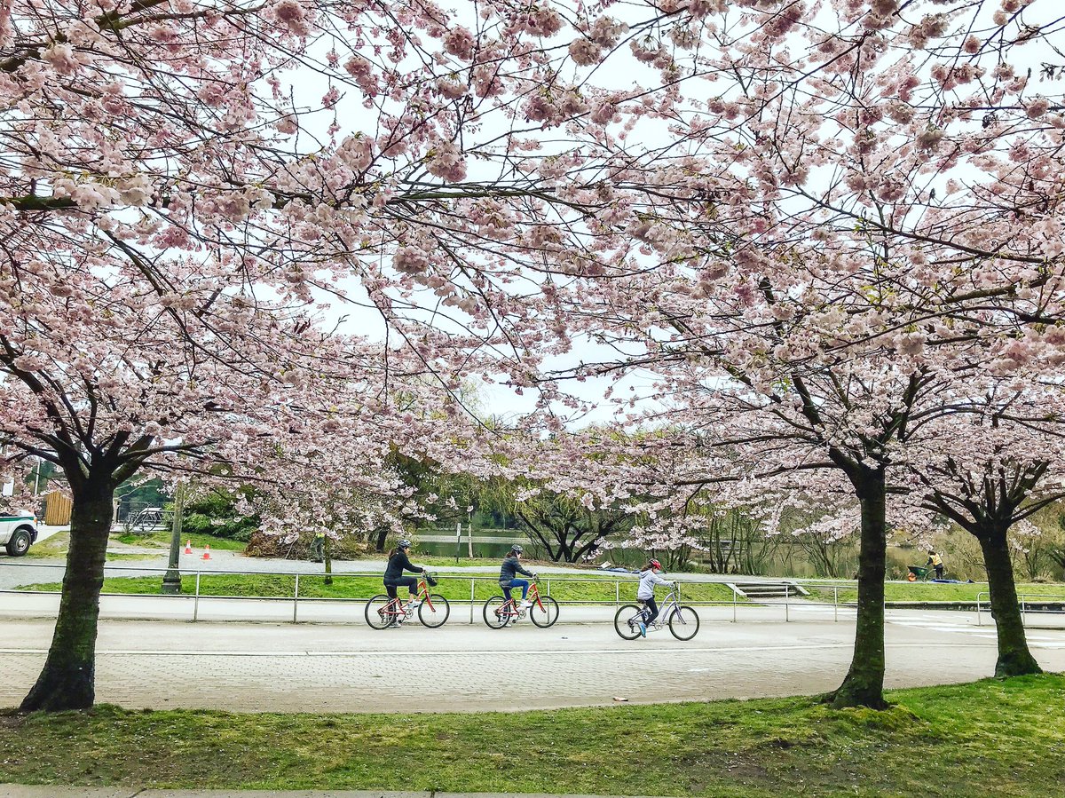 An impressive 10%—or one million—of the ten million tourists that visit Vancouver each year hop on a bike at some point during their stay; stimulating the local economy beyond the downtown peninsula. Is your city missing the competitive edge brought by better bike infrastructure?