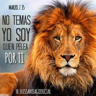 carlos_rivera's tweet photo. https://t.co/H3ZorwdtN7