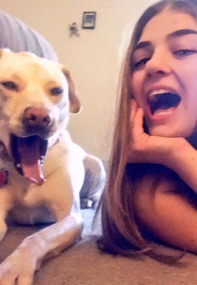 krissycanova's tweet photo. Time for a post-work/pre-weekend nap with the most perfect furbaby to grace the planet with his paws. #TeamNEEDSleep #YawnsForDays https://t.co/7tyidKiZOc