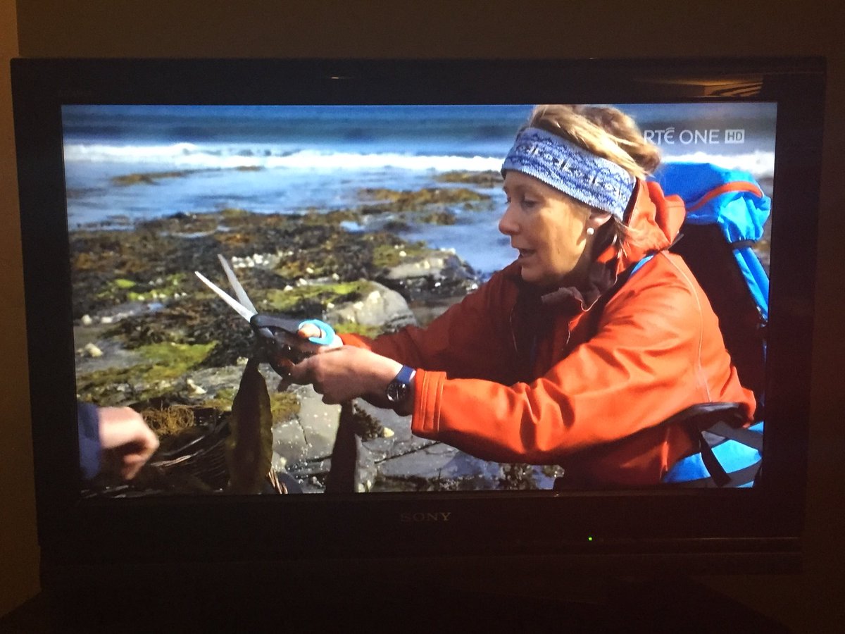 Can you bring me next time? @SeaweedKitchen  what a revelation! @sligowalks #tracksandtrails #sligowhoknew