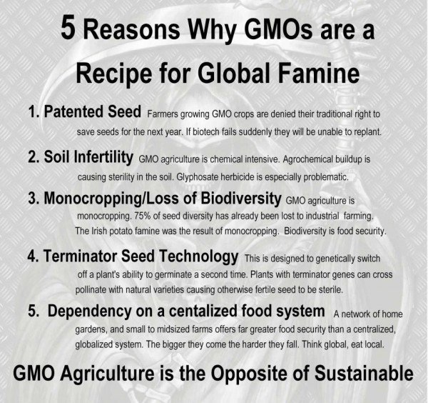 Homestead4Honey's tweet photo. #Monsanto #Control #GMO #Famine #Manipulate #PatentedSeed #Soilinfertility #Monocrops #BioDiversity #TerminatorSeed #Dependency #Sustainable #CentralControl #Organic #HeirloomSeeds #Permaculture #WorkWithNature https://t.co/baXnQzE9X2