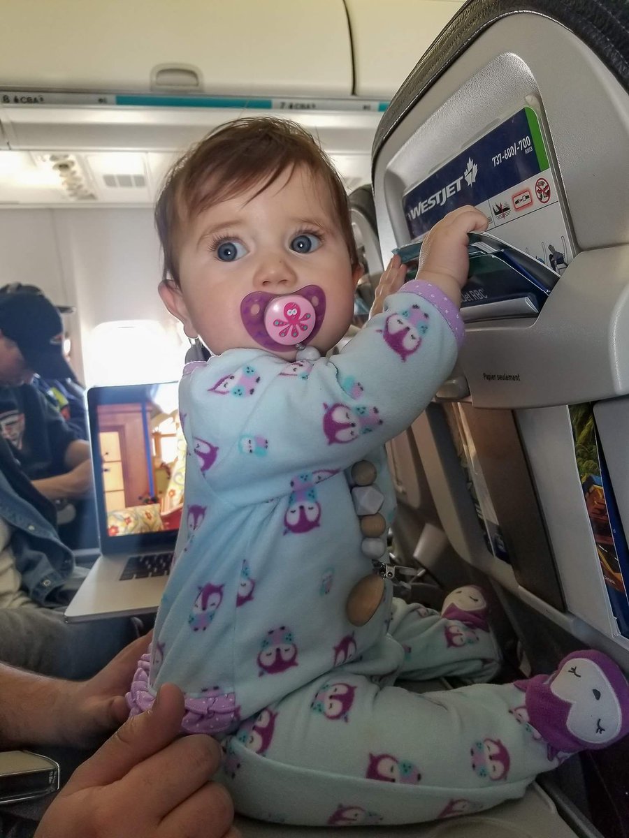 Baby's first flight <a href="/WestJet/">WestJet</a> 
Sorry about eating the safety pamphlet #bestairline