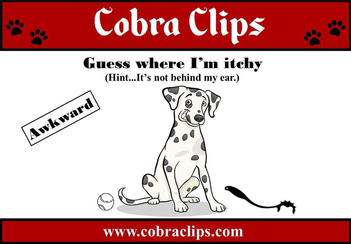 BTICobraClips's tweet photo. #Grooming your #dog has never been so easy! https://t.co/fuT6fFn6dl All #dogs deserve #affection #grooming #Dogs #toys #petcare https://t.co/NNu9FKEszP
