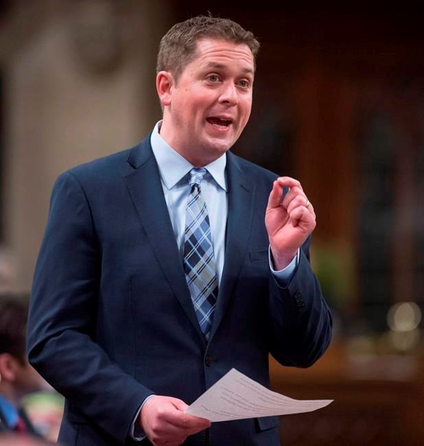 National security adviser to brief committee on Trudeau's India trip.  ottawamatters.com/around-ontario… https://t.co/msfgCERnh4