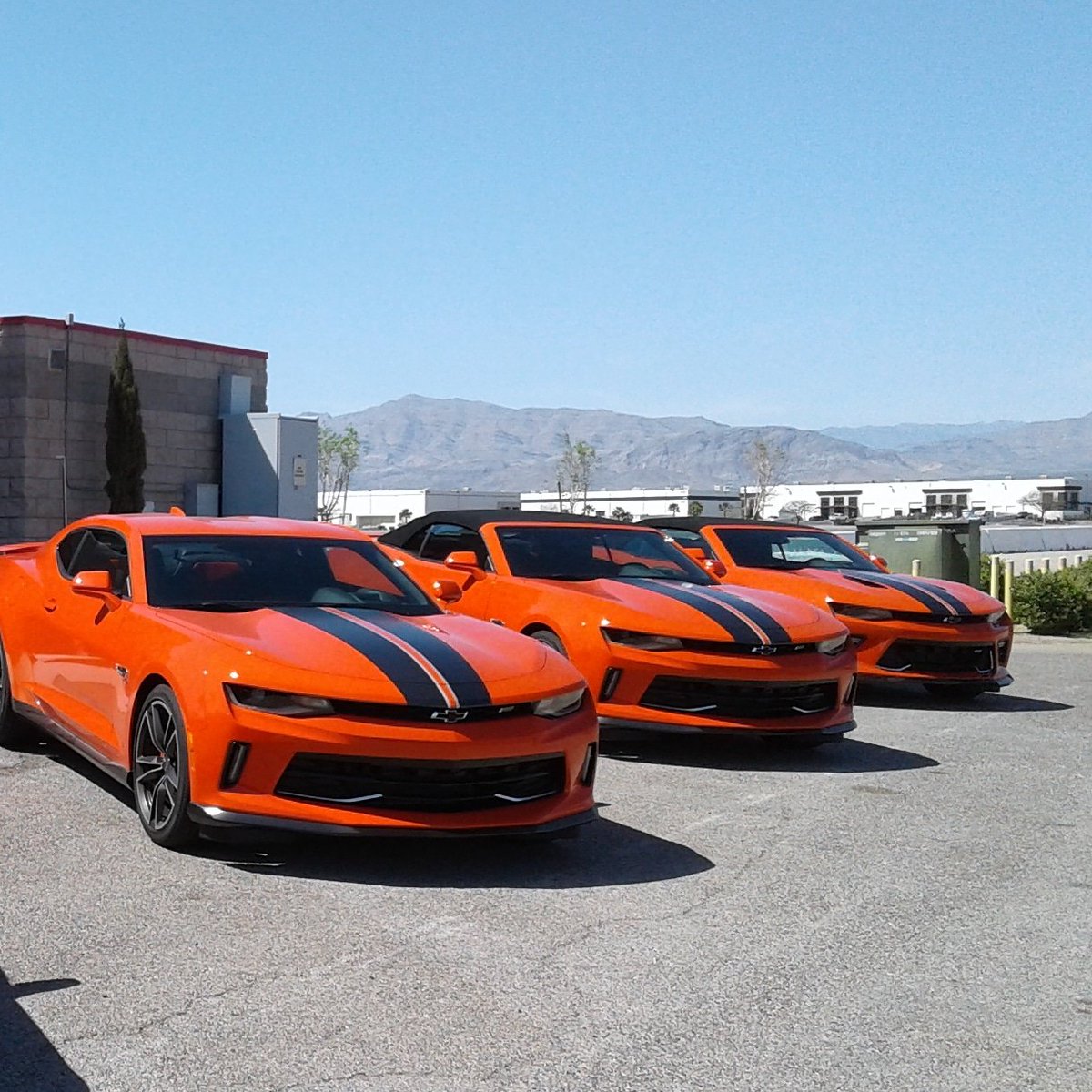 PetrinaGentile's tweet photo. #chevycamaro #hotwheelsedition #lasvegas https://t.co/jFY3wGz9BT