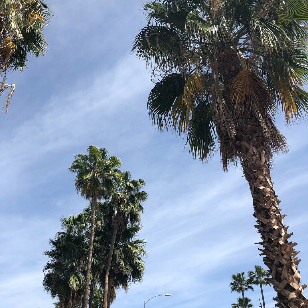 ASA_CoachRandy's tweet photo. AZ you never disappoint. A lot of beauty being captured. โ๏ธ๐ด๐บ #illinitrack๐ถ๐ท https://t.co/bBYfAi0LTk