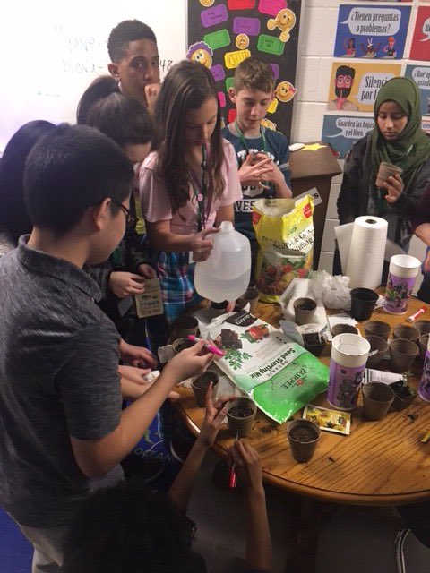 pollgandaraavm's tweet photo. #pjhgardenclub had a great time learning about starting seeds indoors and doing some planting! Thanks to @AlsipMP_Library ! #weare126 #pjh126 #greenspaceproject https://t.co/2TfWDTaAu8