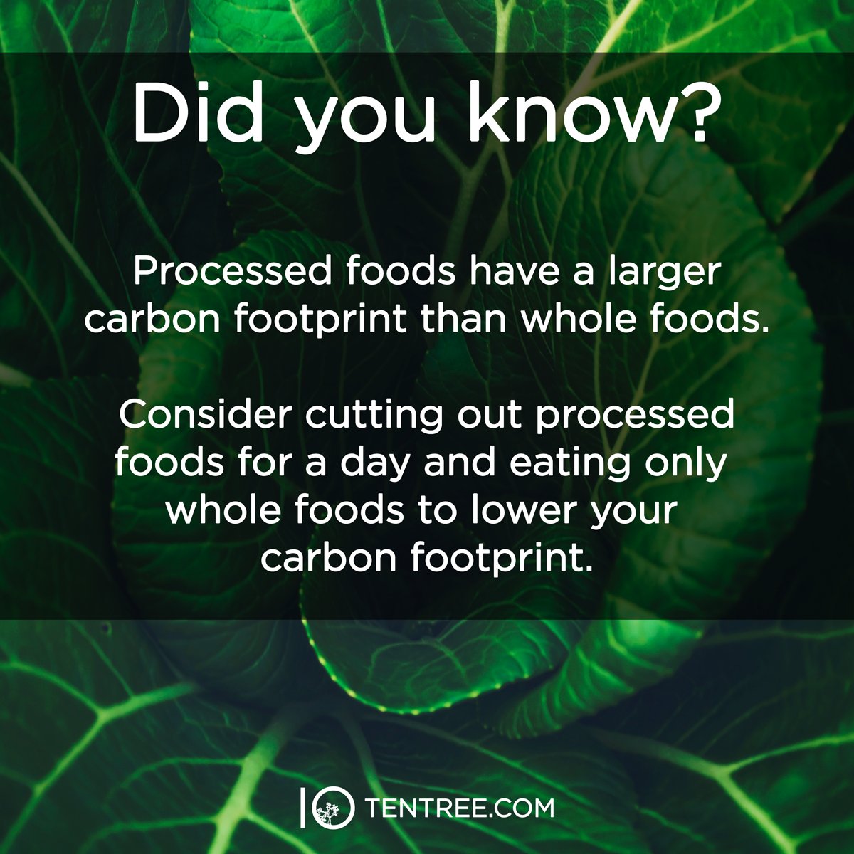 tentree's tweet photo. How about another #EarthMonth #PledgeAndPlant tip? https://t.co/K6nVooatYl