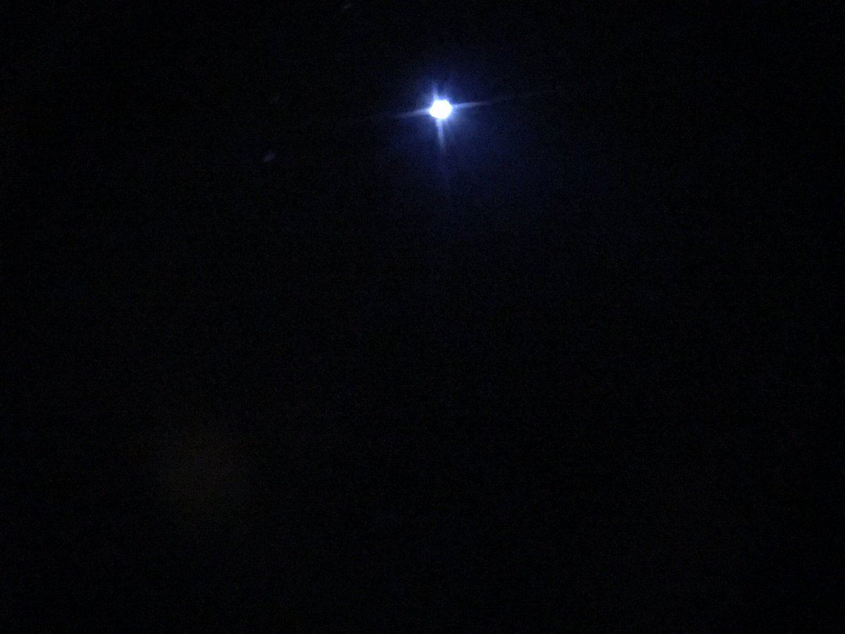futuro3o's tweet photo. Finalmente una serata col mio #DobsonSkywatcherXt8 e seppur con un iPhone, sono riuscito a fotografare #Sirio in splendida forma #astronomy #astronomia #astrofilia #astrofotografia https://t.co/M5prH1YiDb