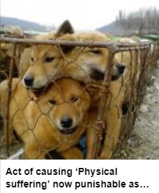 NamiKim_DogsSK's tweet photo. Act of causing physical suffering now punishable as animal abuse in #SouthKorea 

More here by .@Koreandogs ➡️https://t.co/2Rw1zoYPFn

"Korean government must educate their law enforcement agencies to process animal abuse in accordance with the law"

➡️https://t.co/bJLVHsJbk7 https://t.co/EIAewaDceg