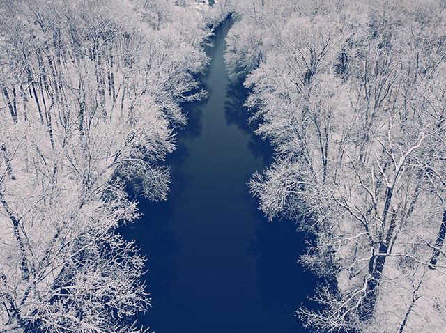 theaaronburden's tweet photo. This Morning in Michigan #puremichigan #springwonderland https://t.co/6Cty3NLH79