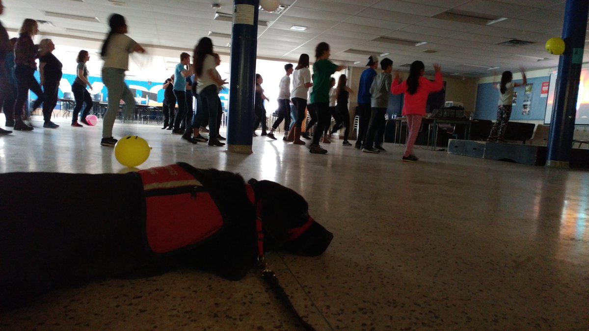 Rose Allain tweet media