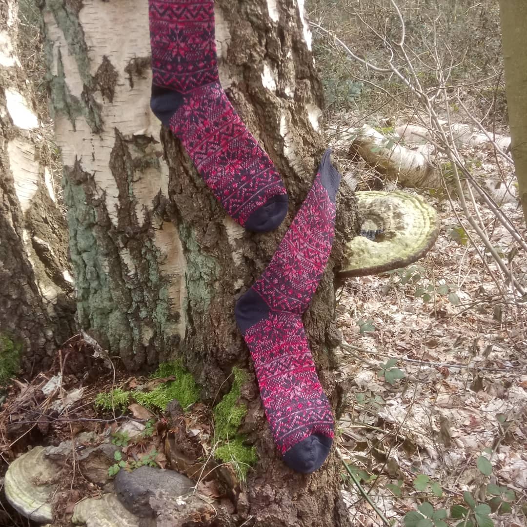 TenderfootSocks's tweet photo. "If you go down to the woods today" busy day photo shoot for AW18 #socks #menswear #style #fashion #british #madeinuk #norfolk #nordic https://t.co/NzKaShh9pf