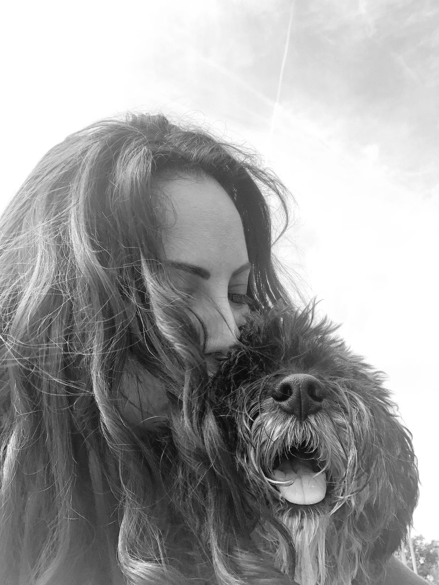GinaGrad's tweet photo. The greatest love story ever told...
#GeriatricPets #FinalChapter #EternalLove #Family #MyBaby https://t.co/6t7cawA6k6