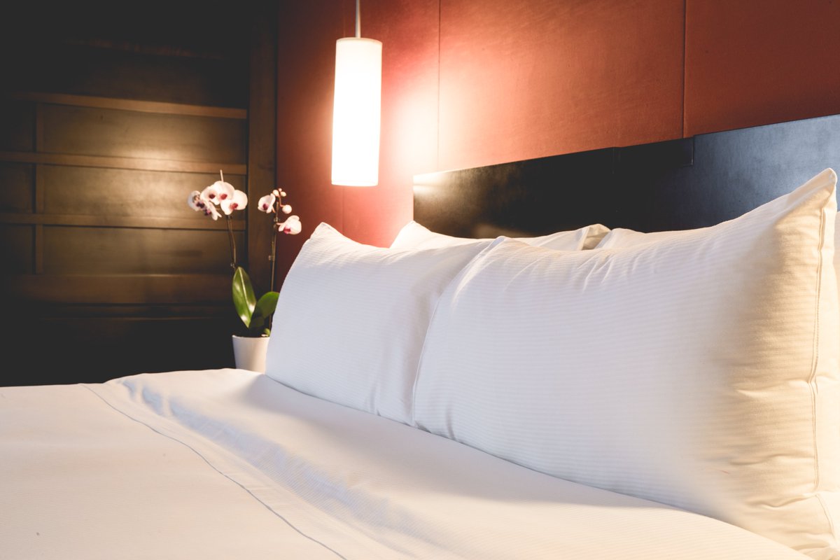 HotelRubyFoos's tweet photo. Notre définition d'une fin de semaine de rêve? 
 ☕️ +  🍳 +  🛁 +  🛏+ 😴
#Café - #repos - #dodo. 
Profitez-en aussi grâce à notre forfait Couette et Café : 

https://t.co/mqqGju6NAV https://t.co/MoZSOsAD9w