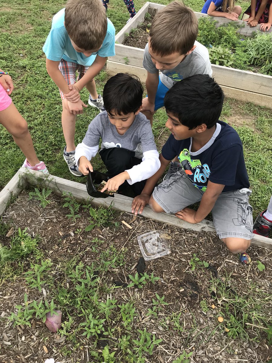 heididcain's tweet photo. Releasing our ladybugs back into their natural habitat! To see their amazement ...
#firstgradeismyjam #ilovesse #bethelegacy @StanleyStampede https://t.co/u4vIuHr2nn