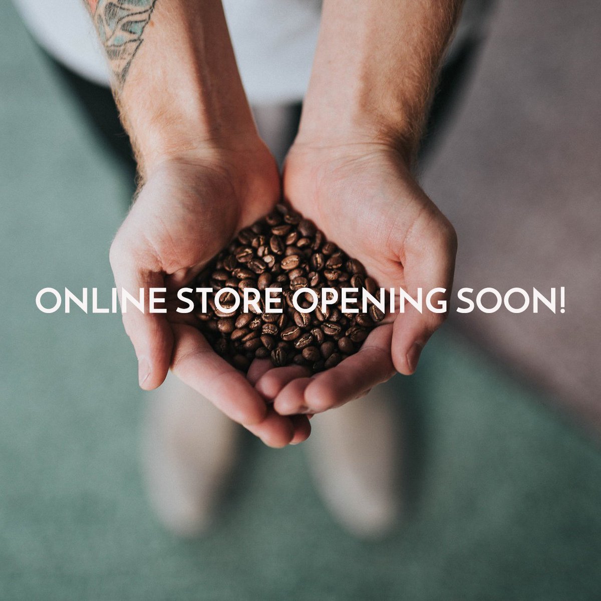 CaffeineTampa's tweet photo. good news for all coffee lovers! we're launching brand new online store - already this Monday! Stay tuned! #freshcoffee #tampacoffee #caffeineroasterstampa 🤩 https://t.co/yUM8hfUMVE