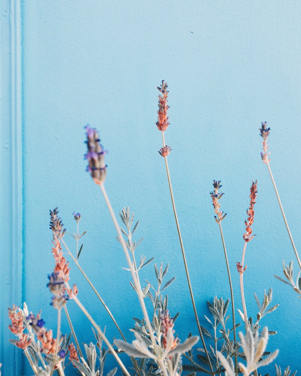 BlueHourPhotos's tweet photo. Looking for some cute, new #photoprints to hang up? Check out my print store on my website: https://t.co/EugLHprCYe
or my #Etsy shop: https://t.co/AXZ9VOHZoA https://t.co/ABeAs4yy6E