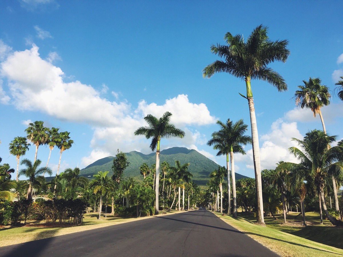 iIoveaesthetics's tweet photo. summer dreamin’ https://t.co/syuCrwF4AH