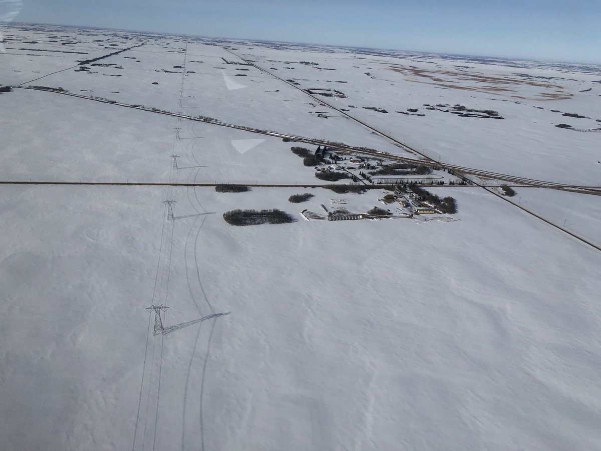 synergyaviation tweet media