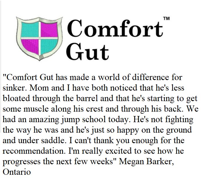 ComfortGutWorld's tweet image. comfortgut.com   

FEI, Race &amp;amp; USEF legal

used &amp;amp; trusted by riders worldwide

can comfort gut help your horse?

@NewsamEq @Albert_Hermoso @caballoecija @GranHipodromo @natural_horse @PrecisionEM @MajorMotionFarm @BarefootEquest  @LisaWilcox01
