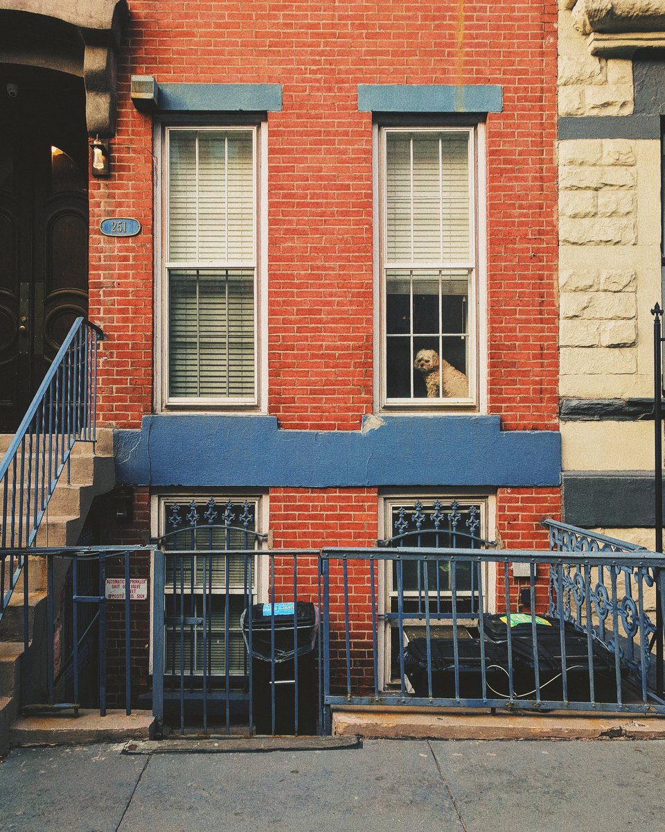 These are the sights I live for on my commute : nyc