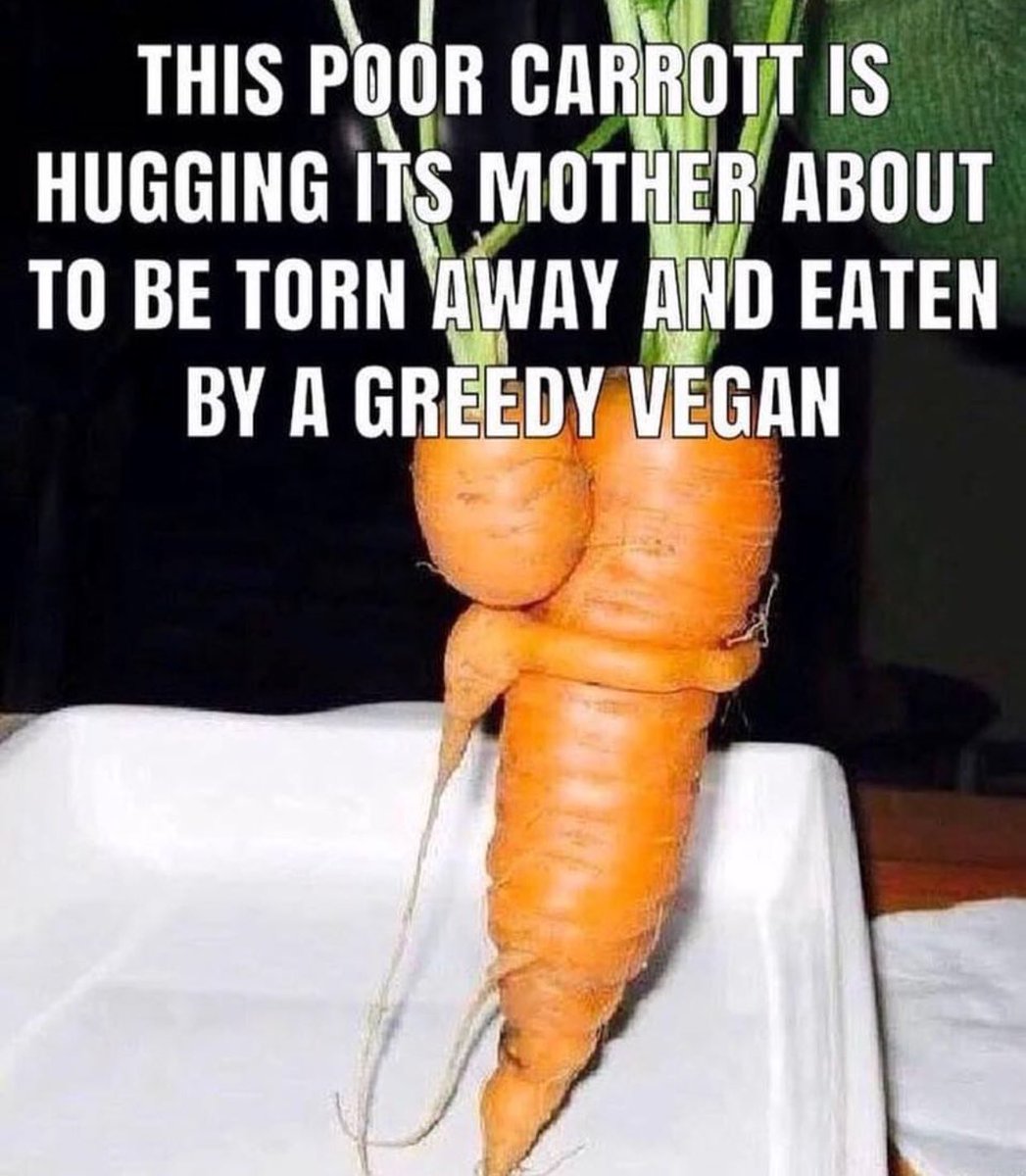 man_shed's tweet photo. Tag a vegan lol https://t.co/l1Py82JMGm