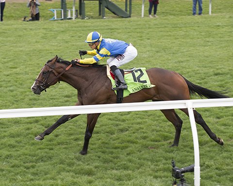 BH_AEberhardt's tweet photo. #AnalyzeIt with @jose93_ortiz wins G3 Kentucky Utilities #Transylvania @Keenelandracing for Bill Lawrence and Chad Brown More @BH_AHughes @LGEKU https://t.co/psoTlsPZma