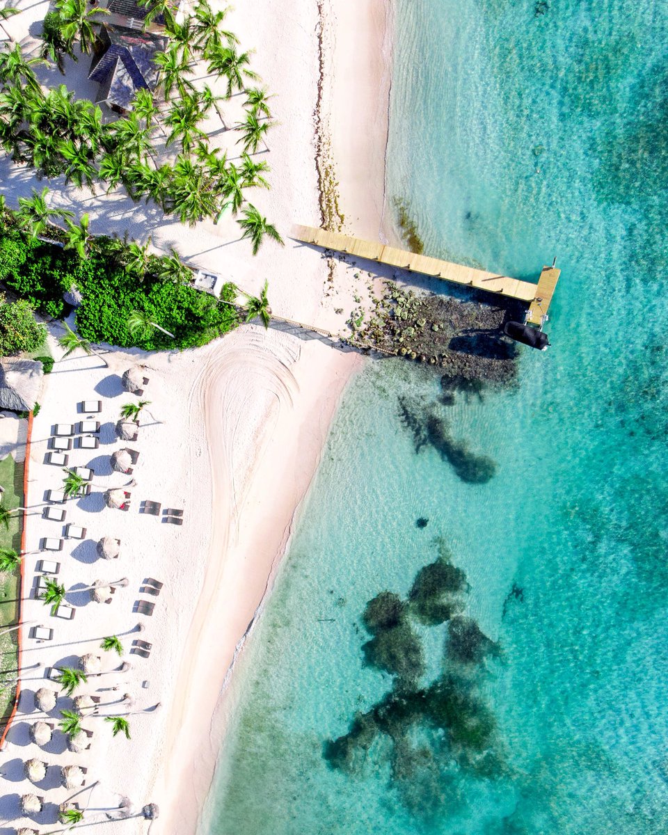 Michael Rizzi tweet media