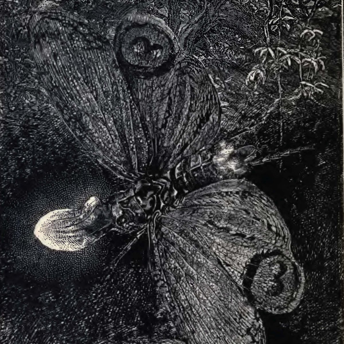 ZeteticRecord's tweet photo. L.S. Johnson — from Court Visionaries of the Imperial Age "we are not light, but a distortion of light . . . What I have envisioned is the Emperor’s truth: I have envisioned Her shadow" #prose
https://t.co/ONgKgBsOKa https://t.co/CntqM3dUwv