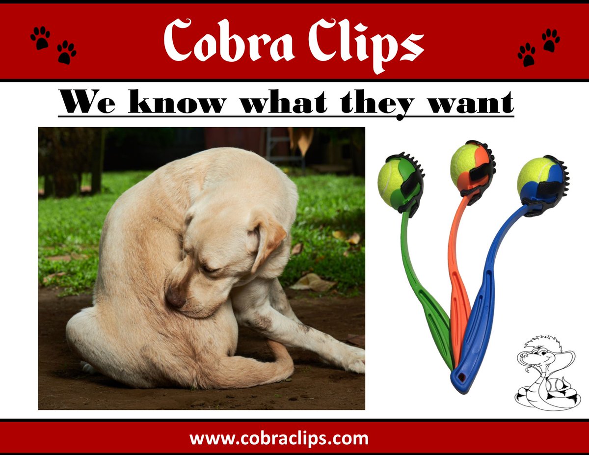 BTICobraClips's tweet photo. Share, Like or Comment Grooming made easy with Cobra Clips visit https://t.co/JuSQ3cCBrr #grooming #dogs #fetch #play #affection https://t.co/tePuitxU3f
