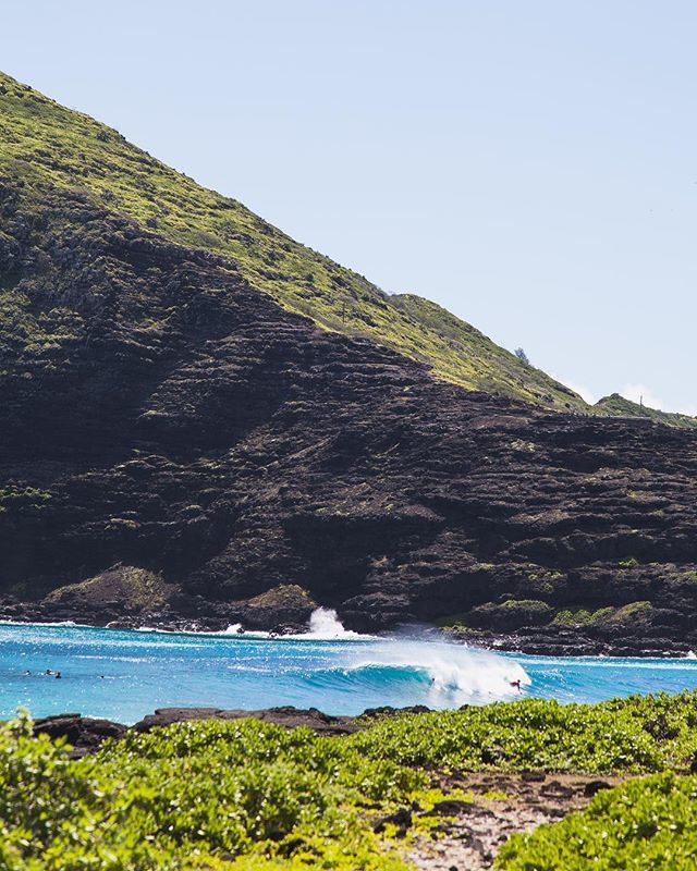 hilifehawaii808's tweet photo. Aloha Friday! Pau hana early, grab a couple waves and some beers! #startingtheweekendright #dontdrinkanddrive #bumbaiyoulearn #hilifer #hilifehawaii https://t.co/HineU9agFz https://t.co/UVb4Iuf02A