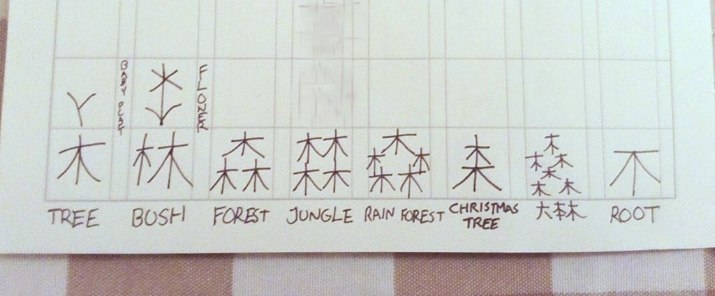 小6男児の発想が天才のそれ 木 Tree 林 Bush 森森 六本木 Togetter