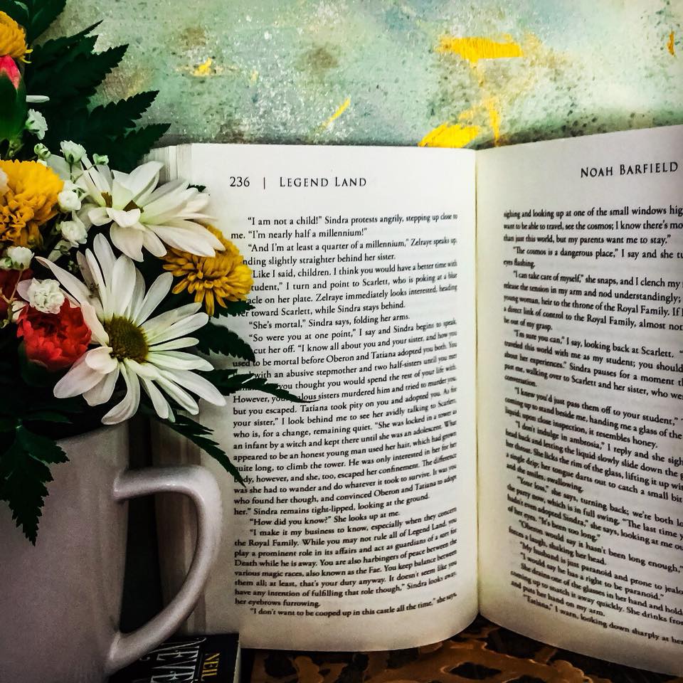 noahbarfield21's tweet photo. Nothing better than a stack of #books on a cozy Friday night. #readmore #writerlife #author #fantasyfriday #LegendLand https://t.co/UXzjCSEhGM