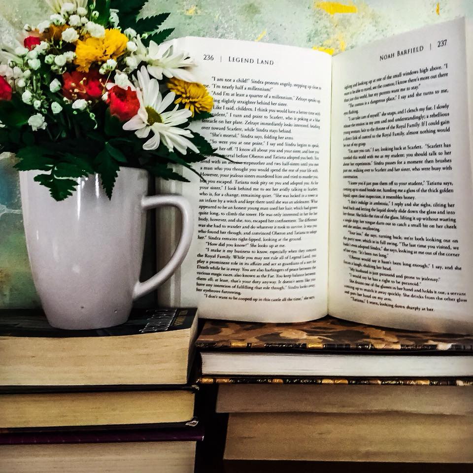 noahbarfield21's tweet photo. Nothing better than a stack of #books on a cozy Friday night. #readmore #writerlife #author #fantasyfriday #LegendLand https://t.co/UXzjCSEhGM