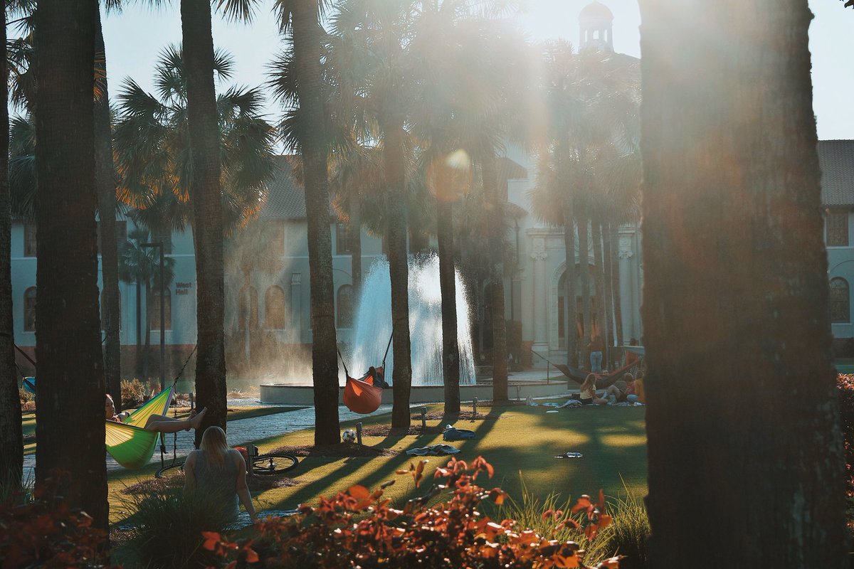 valdostastate's tweet photo. Our own tropical oasis... ☀️🙌🌴 #FrontLawnFriday #VState (📸: @et_sensei) https://t.co/4vRK0fdGXD