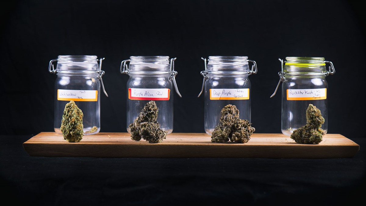 CannaRoad's tweet photo. California cities see consumption lounges as way to increase #cannabis #tourism https://t.co/DppFUqmM3C @travelweekly @DKtravelweekly https://t.co/GdkRUDTWhJ