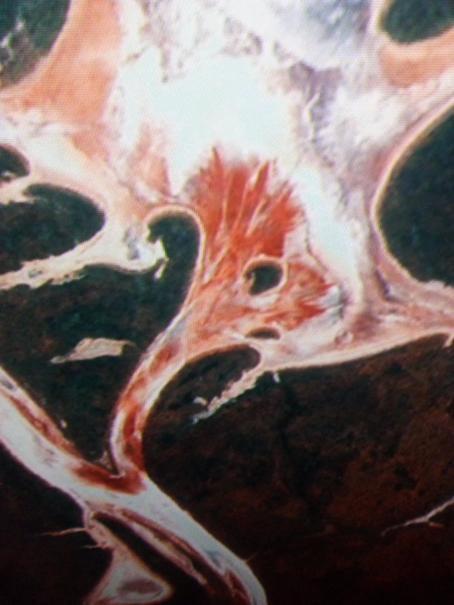 Joe Tucker tweet media