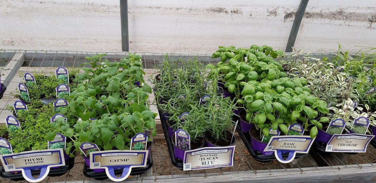 Pride Hill Farm & Garden Center (pride_hill) Twitter