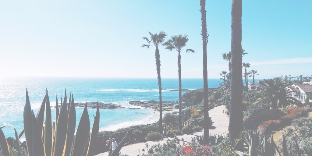 pullingcurls's tweet photo. Southern California: Discovering the other options - https://t.co/d52IAx8YIh @ExtendedStay @MedievalTimes @FarrellsUSA #southernCA https://t.co/czMIgp5XCm