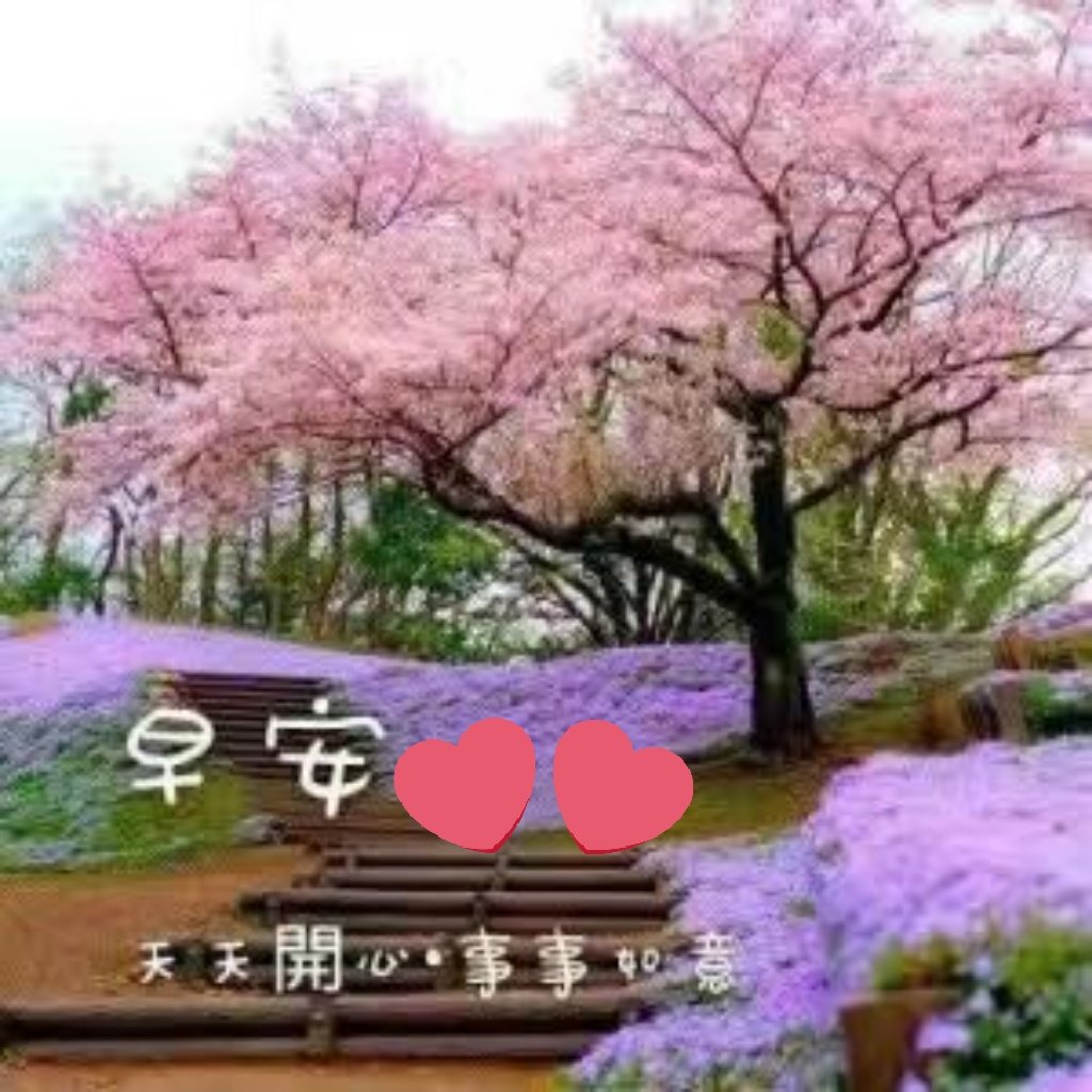  happy birthday to you Choi Siwon 