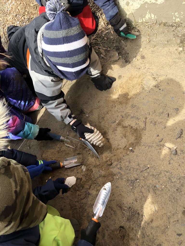 kzelmer's tweet photo. Working as palentologists today on our very cold #FreshAirFriday #disciplinaryinquiry #Kindergarten #kinderchat #CBEearthPlay #reggioyyc #reggioPLC https://t.co/qXH6Or4Obu