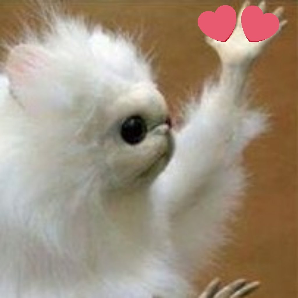 when I saw Hanzo's New skin: