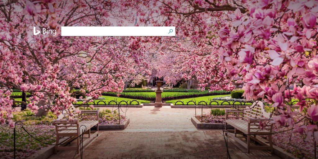 Twitter पर Bing 日本版 今日のホームページ アメリカの首都ワシントンd C のナショナル モールでは 4月15日まで 全米桜祭り が開催されています そこで今日はその公園に咲き乱れる桜の様子をお届けします T Co Bmochaoeoz Bingjp 全米桜祭り