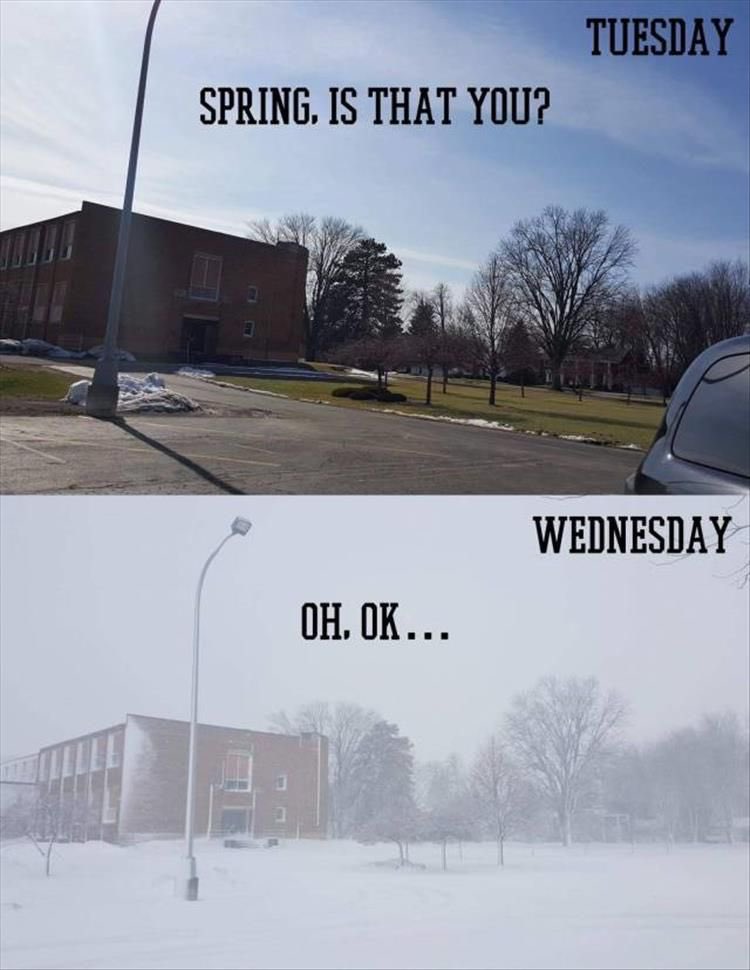 dogmagayle's tweet photo. Hey #toastandpost family! Enjoying my week because this pretty much sums it up! If you’re feeling the cold too, let’s drink to that! We’re still here! @btmahoney @deanna12862 #springtimeinCanada https://t.co/z03fnZPJhm