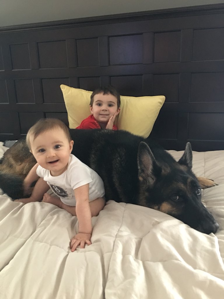 critelsm's tweet photo. #SMSDogoftheMonth. Boeheim and his best pals. #GermanShepherd https://t.co/O27Af5juL9